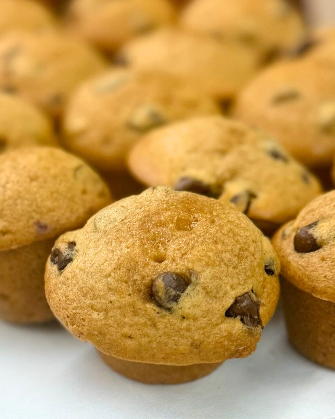 Chocolate Chip Pumpkin Bread Muffins